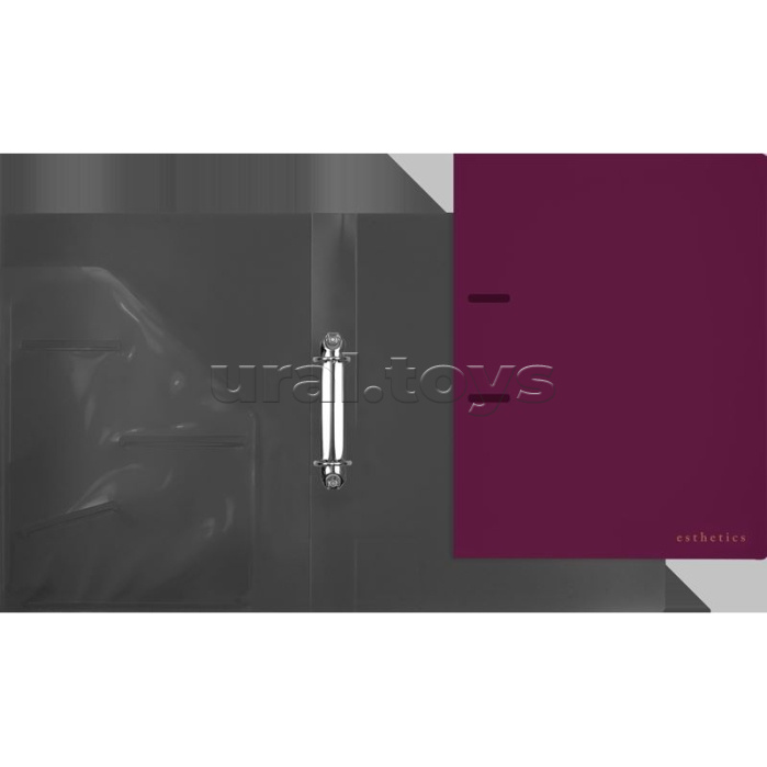 Папка на кольцах "Esthetics" A4 (240x310x35 мм) 2 кольца Ø 30 мм, полипропилен 800 мкм, фактура "soft-touch" на 250 листов бумаги или 50 вкладышей, внутренний карман 160 мкм, индивидуальная упаковка, непрозрачная бургунди