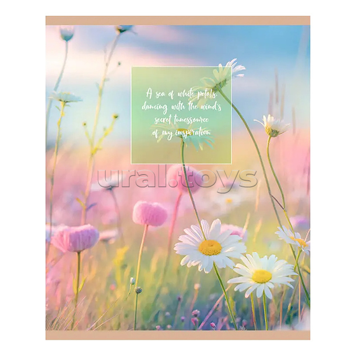 Тетрадь 48л. клетка "Нежный рассвет" А5 скрепка