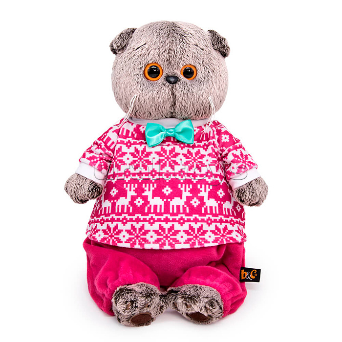 Кот Басик в зимней пижаме