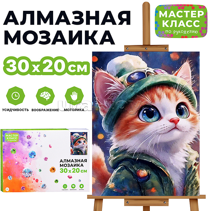 Мозаика алмазная "Котик на прогулке" 20*30см.