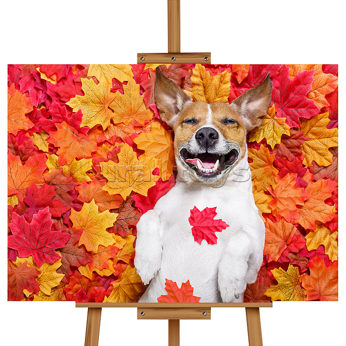 Набор для рисования "Картина по номерам 30х20 см. Щенок в листве"