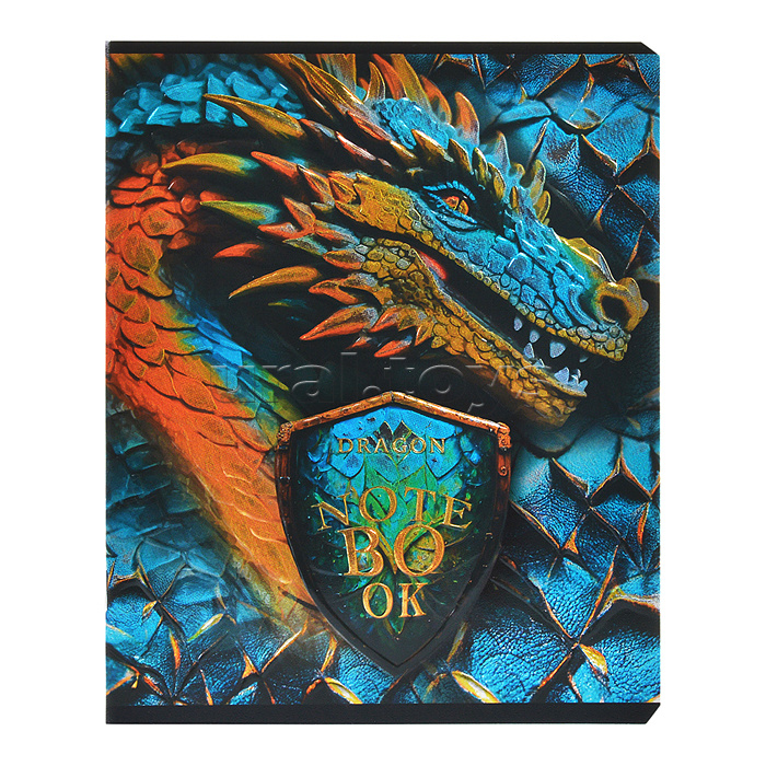 Тетрадь 48л. клетка, А5 "Король Драконов" скрепка