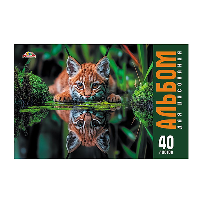 Альбом для рисования 40л. цв.мелов.карт.облож."Дикий котенок"