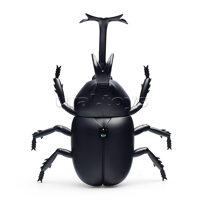 Жук в коробке