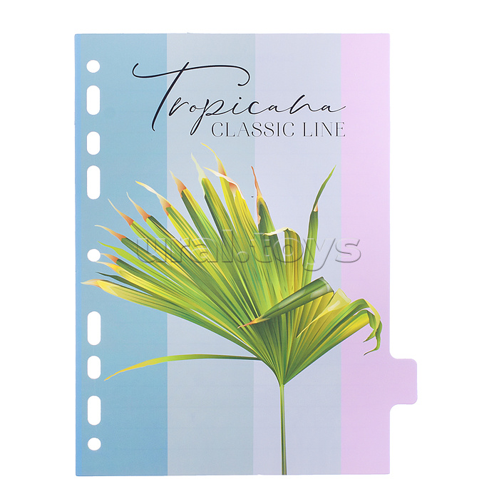 Разделитель листов "Tropicana" A5 (160x210 мм) ламинированный мелованный картон 210 г/м2, с рисунком, 8 шт, индивидуальная упаковка