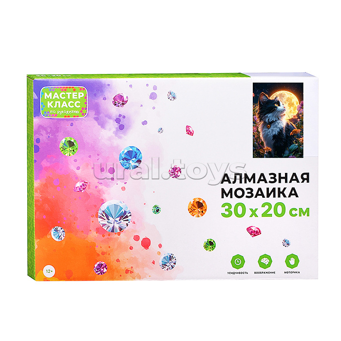 Мозаика алмазная "Черно-белый котик" (светится в темноте) 30*20 см.