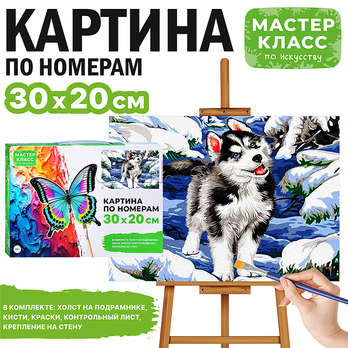 Набор для рисования "Картина по номерам 30х20 см. Хаски на прогулке"