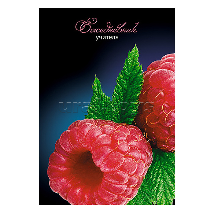 Ежедневник учителя А5 288стр.,7Бц, Уф-лак "Малинка"