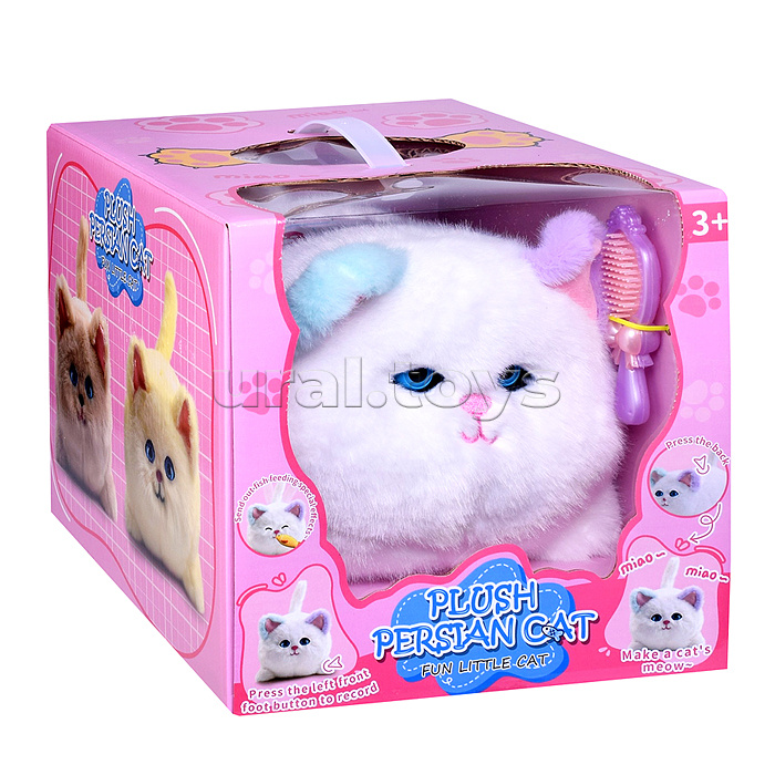 Кошка "Мяу" в коробке