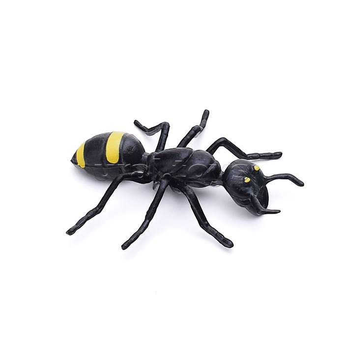 Насекомое в ассортименте, в коробке