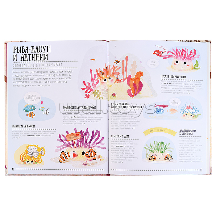 Подарок для самых умных. Животные мира. Книга+Большая раскраска+Игра-ходилка+Карточная игра.