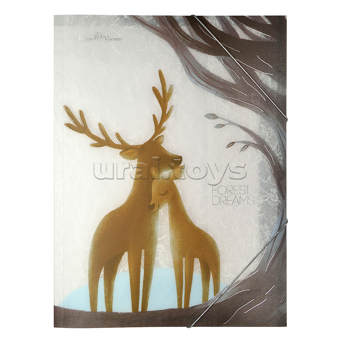 Папка файл на резинке "Forest Dream", А4, 2 вида