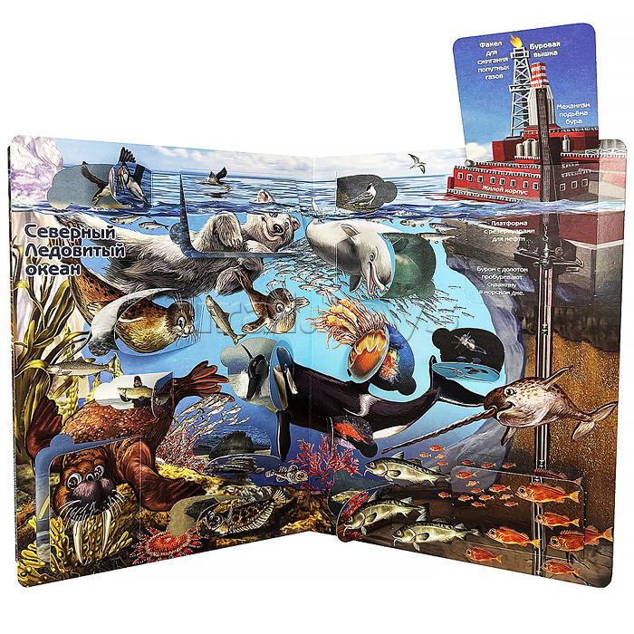 Энциклопедия с окошками "Что там, под водой?"