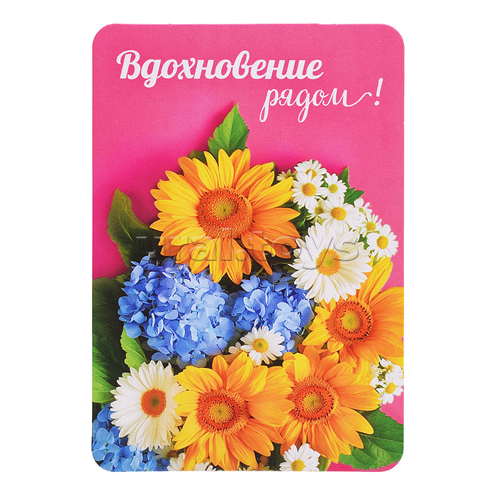 Набор мини-открыток "Прекрасные цветы"