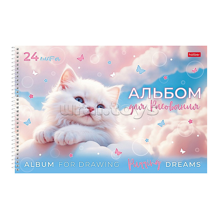 Альбом для рисования 24л "Нежные мечты" А4 на гребне 5 диз.в блоке
