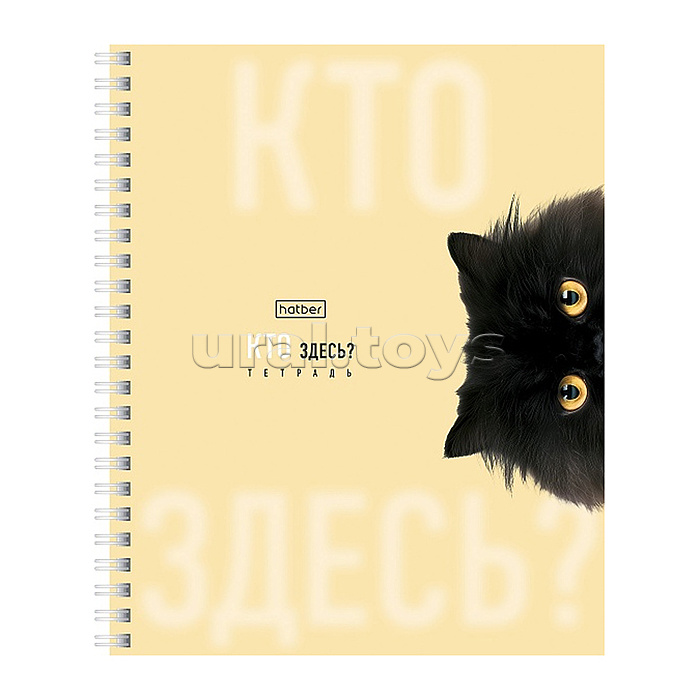 Тетрадь 48л. клетка "Кто здесь?" А5ф 60-65г/кв.м на гребне ламинация перфорация на отрыв 4 диз.