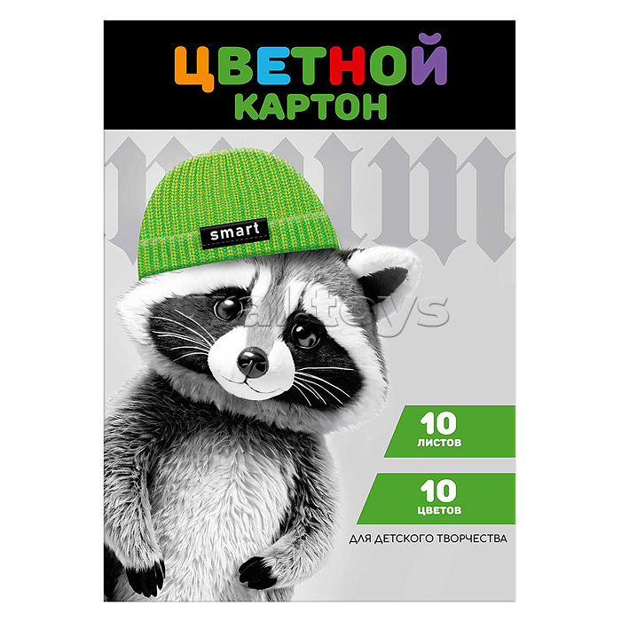Картон цветной 10л. 10цв. "Енот в шапочке"