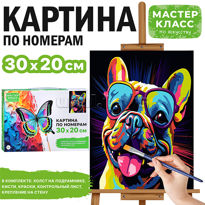 Набор для рисования "Картина по номерам 30х20 см. Бульдог"
