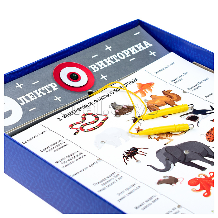 Игра Электровикторина "Размышляй-ка"