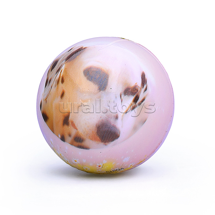 Мяч мягкий "Собачка" (5 см) в пакете