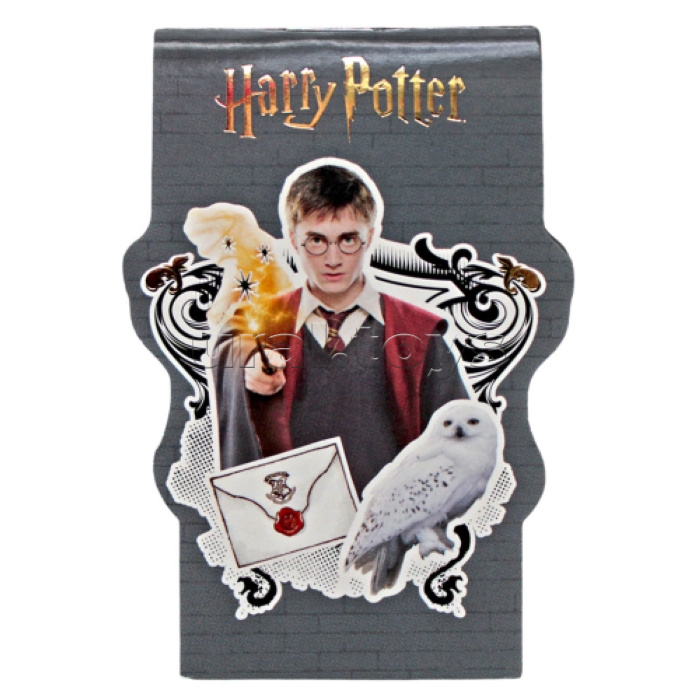 Блокнот фигурный Гарри Поттер, формат А7, 40 листов на скрепке, без линовки, тиснение золотой фольгой