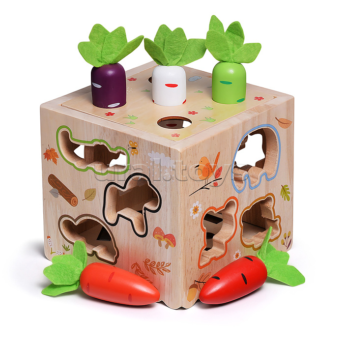 Куб развивающий "Мегакуб"