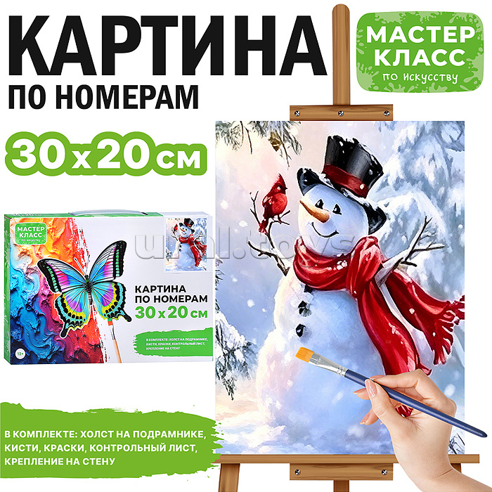 Картина по номерам "Снеговик с птичкой" 30*20 см.
