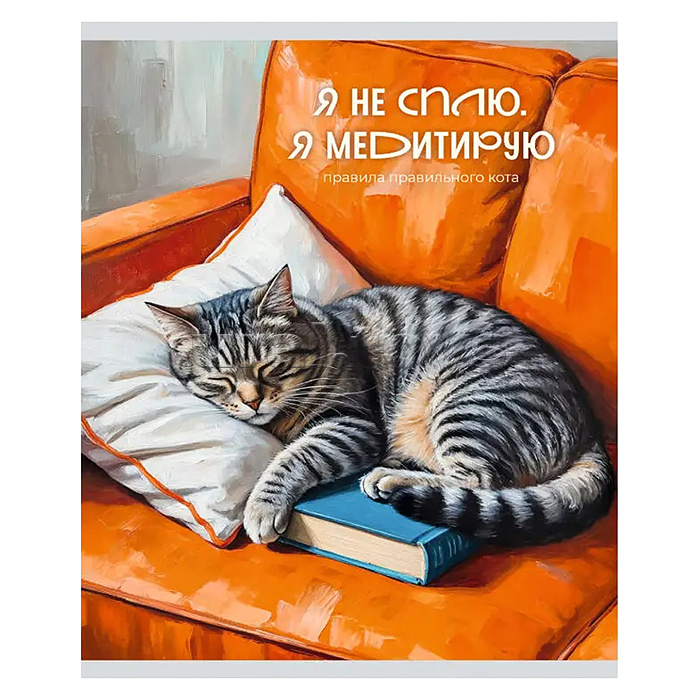 Тетрадь 48л. клетка серая "Кот и лень" А5 скрепка