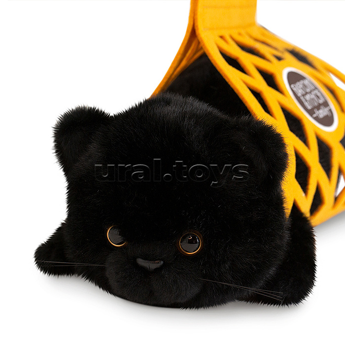 Кот Барсик в сумке черный 56