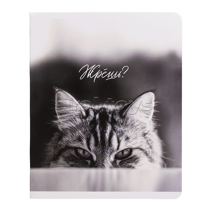 Тетрадь 48 л, клетка "Монохромные коты" А5+, мягкий переплёт (2 скобы)