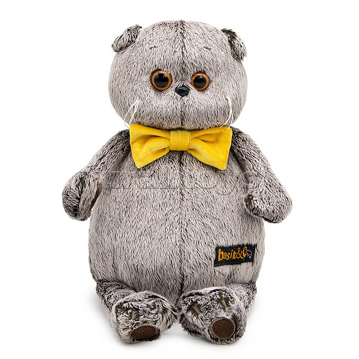 Кот Басик в галстуке-бабочке