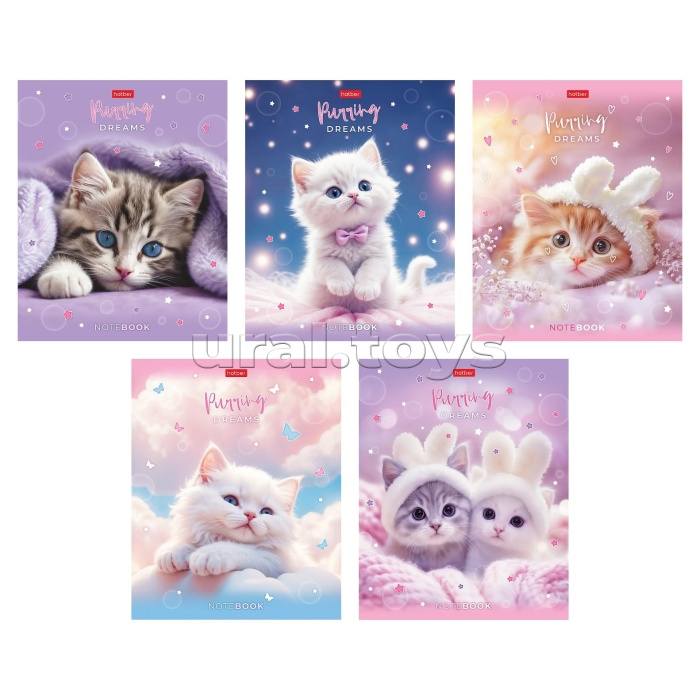 Тетрадь 48л. клетка "Нежные мечты" А5 на скобе пластиковая обложка, с печатью