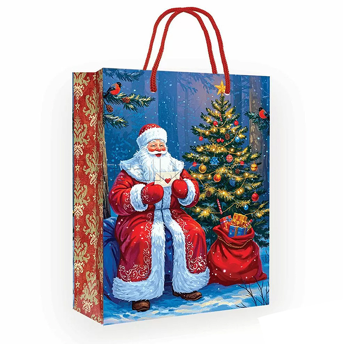 Пакет подарочный (МS) "Дед Мороз c письмом"