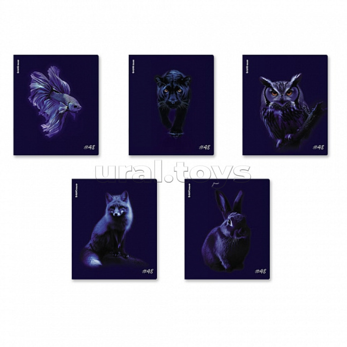 Тетрадь 48л. клетка "Indigo" ламинация soft-touch+выборочный УФ-лак