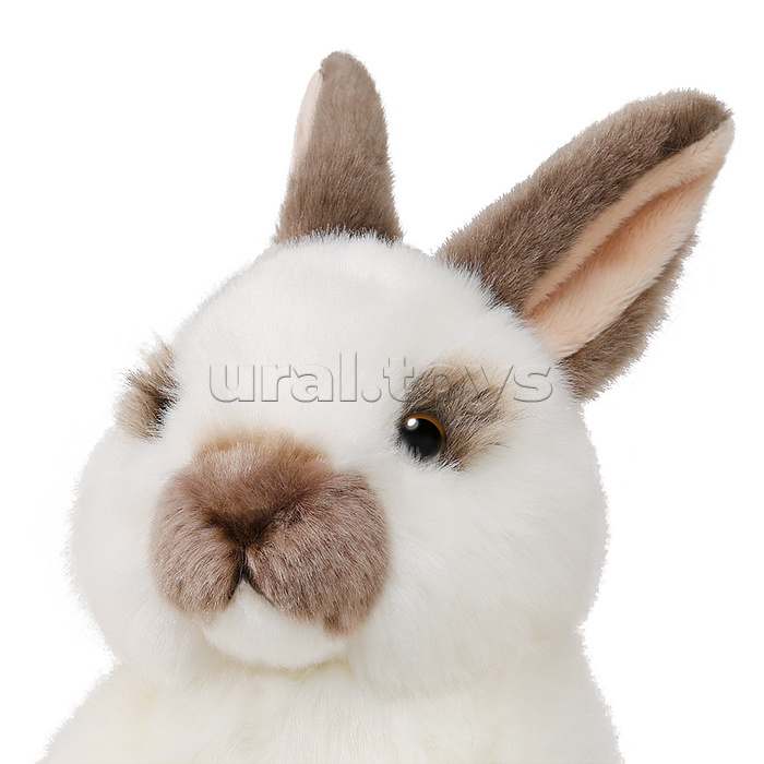Калифорнийский Кролик, 22 см