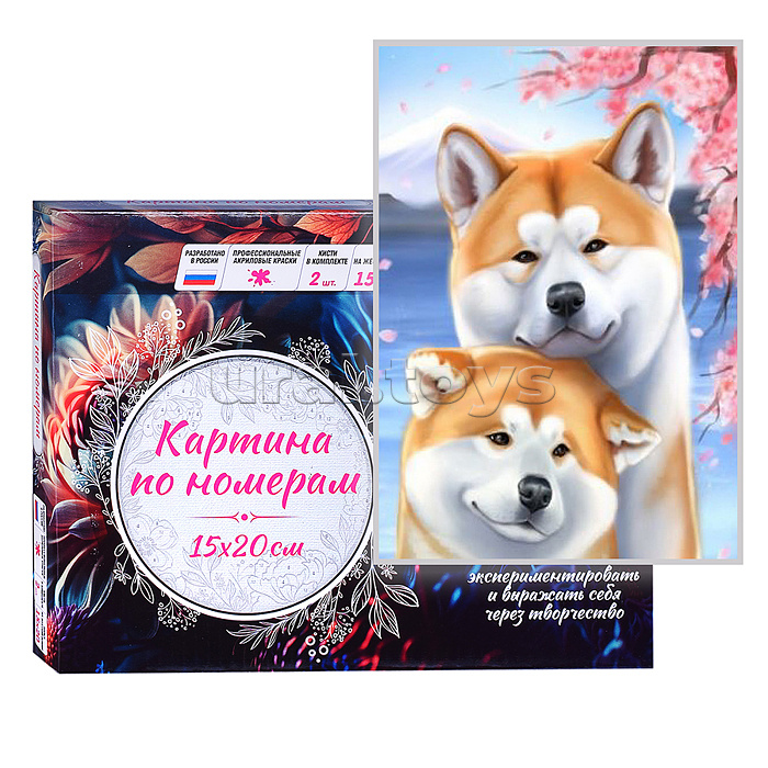 Картина по номерам 15х20 "Акита-Ину" (12 цветов)