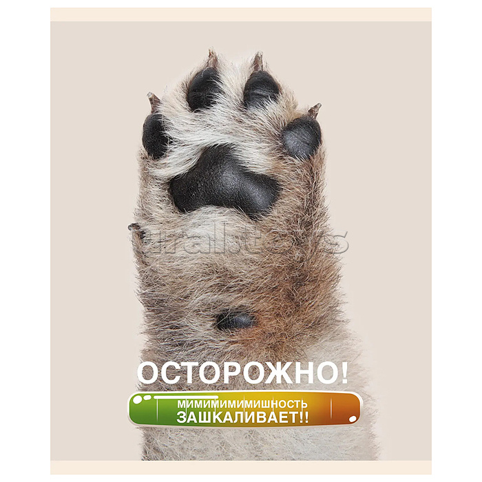 Тетрадь 48л. клетка "Осторожно, щеночки" скрепка