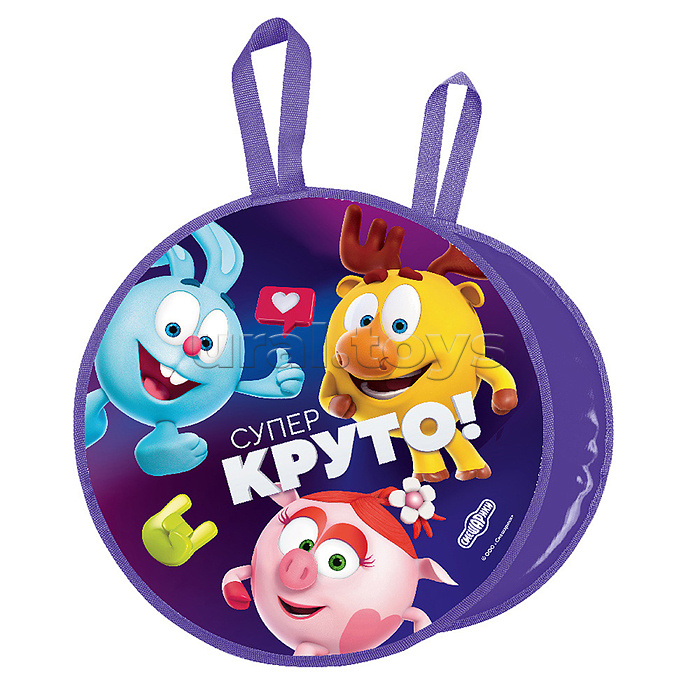Игрушка. Ледянка с рисунком (смешарики)