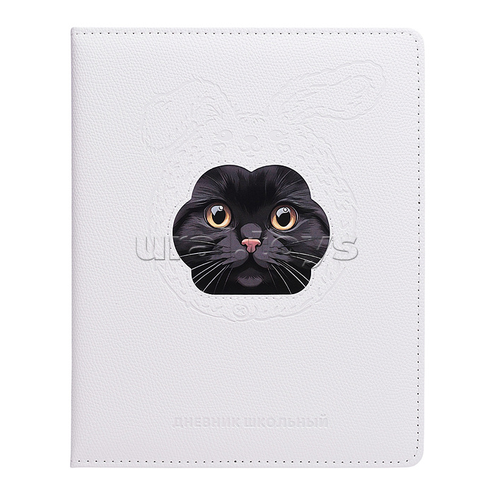Дневник 1-11 кл. "Черный кот в шапочке" кожзам: А5+; твёрдый переплёт с поролоном