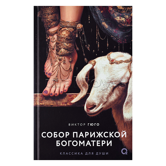 Виктор Гюго. Собор Парижской Богоматери