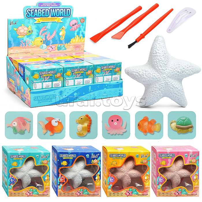 Раскопки "Морская звезда" в коробке