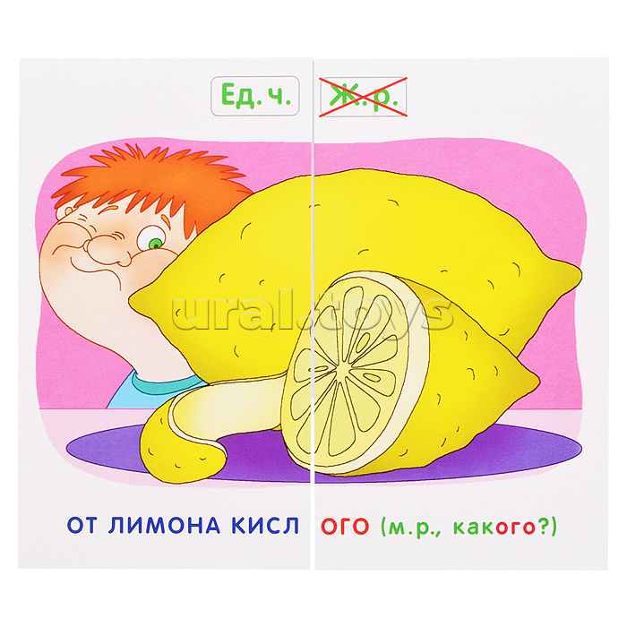 Занимательные карточки. IQ тренажеры. Русский язык 5. Пароход. Правописание окончаний имён прилагательных. 48 карточек. Штец А.А.