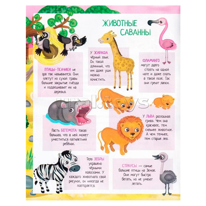 Книжка с наклейками формат А4. Приключения в жаркой саванне. 50 наклеек. Барсотти Э.