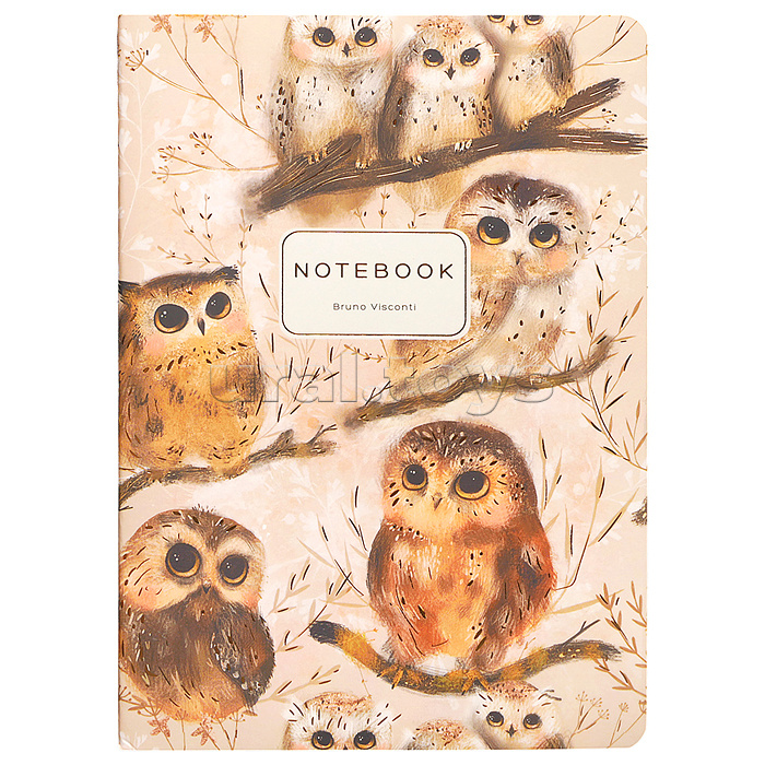 Тетрадь 40л. клетка "Love me. Совушки" А5