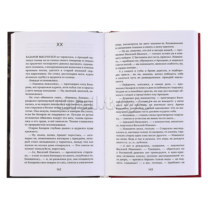 Тургенев И.С. Отцы и дети