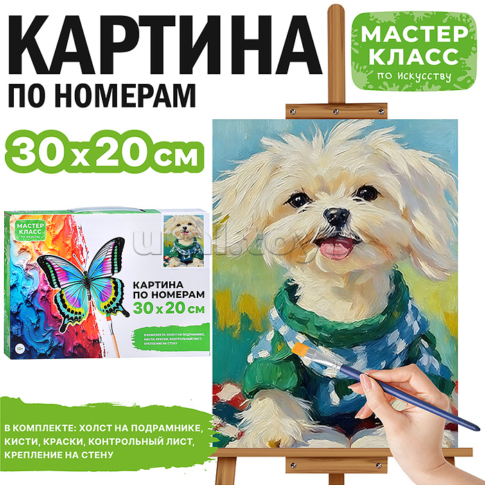 Картина по номерам "Читатель" 30х20 см.
