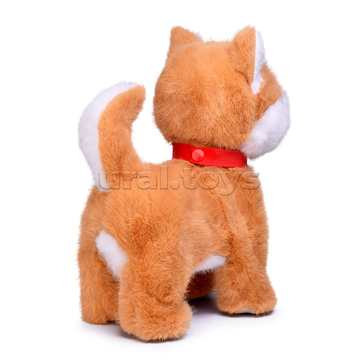 Собака "Персик" (поет, ходит, повторяет) в пакете