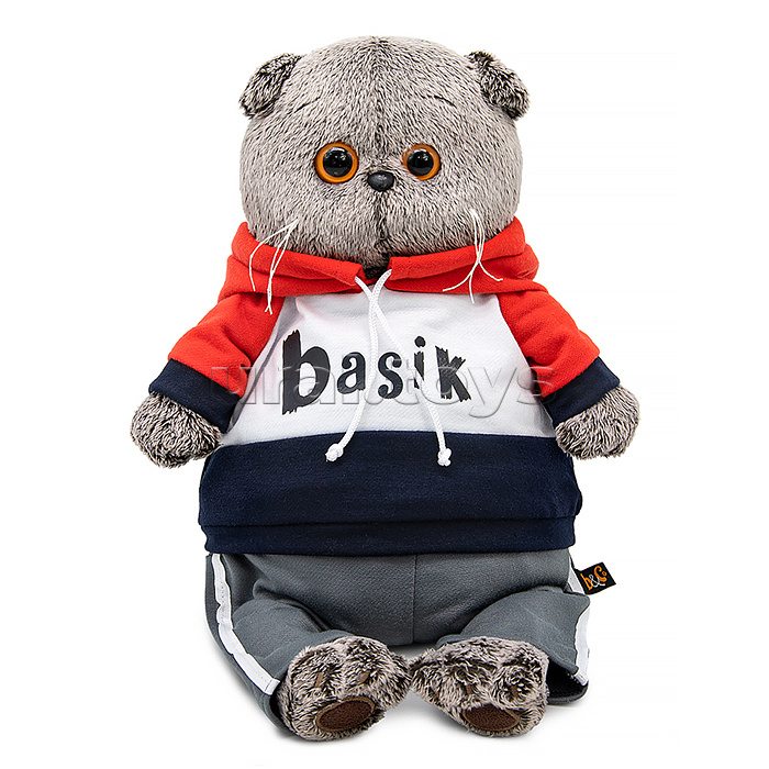 Кот Басик в костюме в стиле спорт-шик