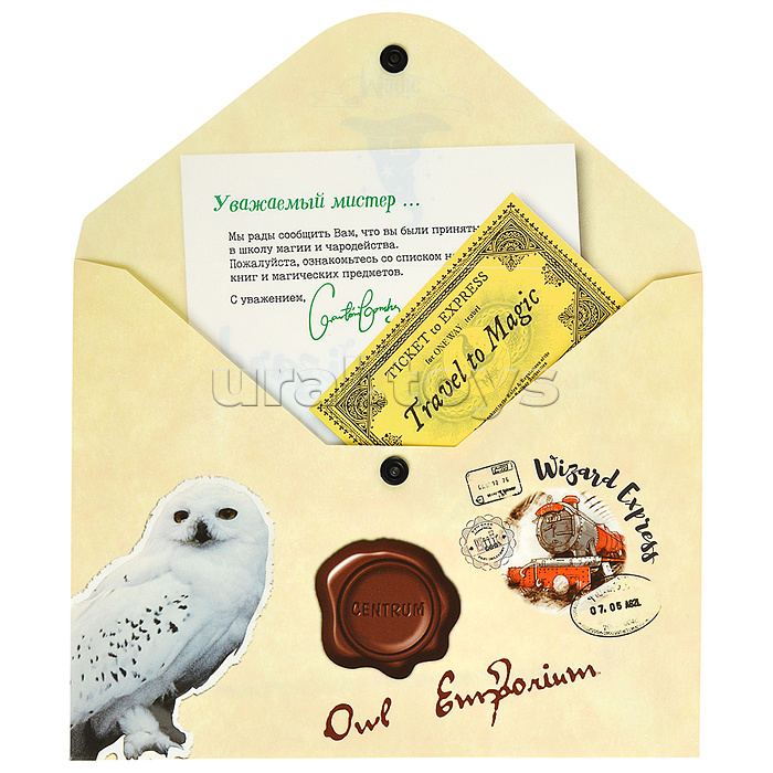 Папка-конверт на кнопке А5, пластик, "Школа магии" 180 мкм, двусторонняя печать