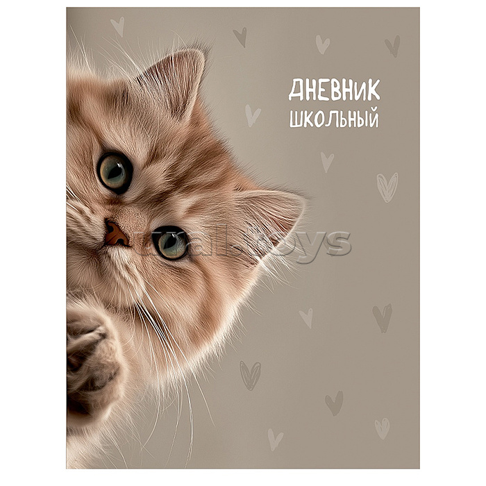 Дневник 1-11 кл. "Забавный котик" 40л. универсальный, на скрепке, без обработки